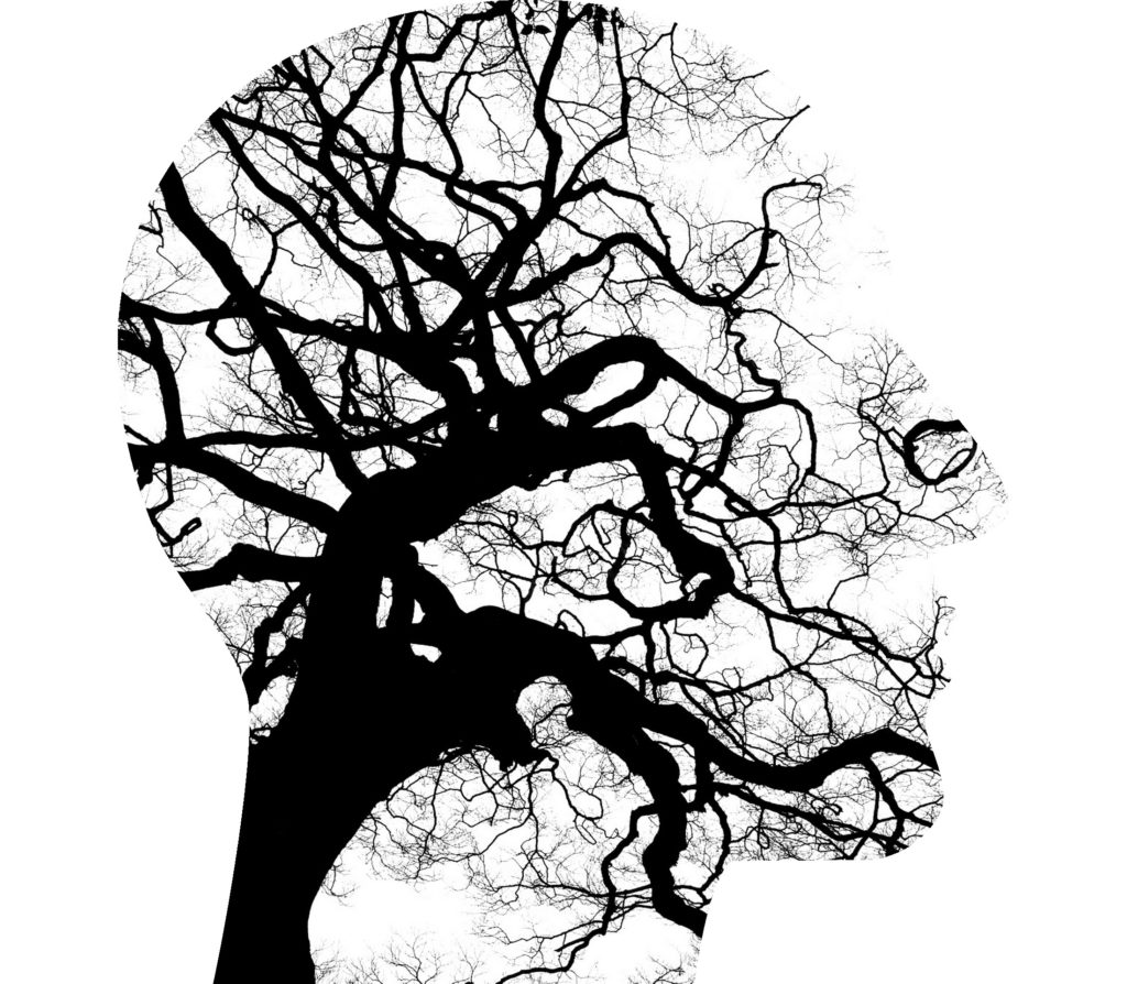 Head Silhouette with tree